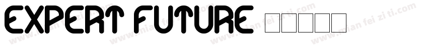 Expert Future字体转换